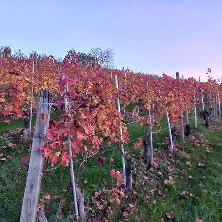 La Briccola Villa Diano d'Alba Bagian luar foto