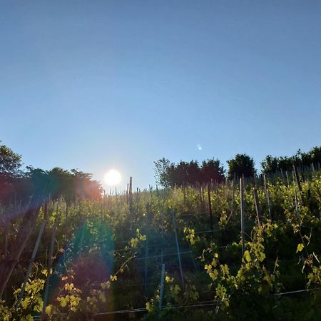 La Briccola Villa Diano d'Alba Bagian luar foto